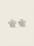 BOUCLES SHINY