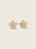 BOUCLES SHINY